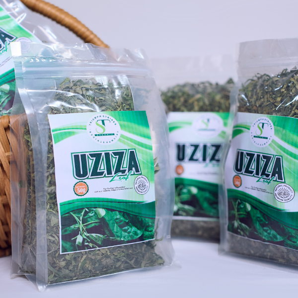 Dried uziza leaves – West African peppery leaf used for pepper soup and native soups.