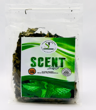 Dried scent leaf – African basil spice for jollof rice, stews, pepper soup, and sauces.