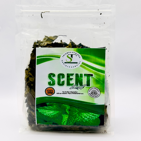 Dried scent leaf – African basil spice for jollof rice, stews, pepper soup, and sauces.